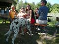 Sommerfest SCS 2009-18